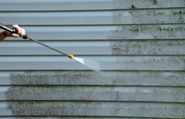 Best Exterior Home Cleaning  in Royal Kunia, HI